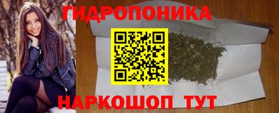 Альфа ПВП Пыть-Ях