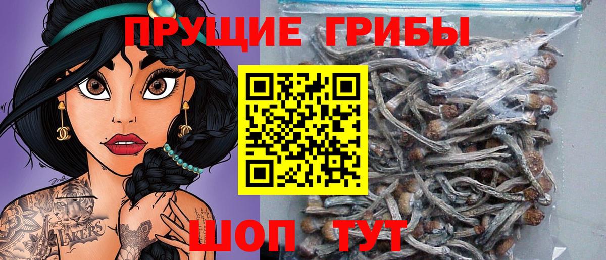 Псилоцибиновые грибы ЛСД Звенигород
